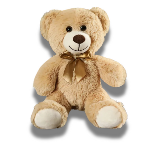Cuddly Teddy Bear